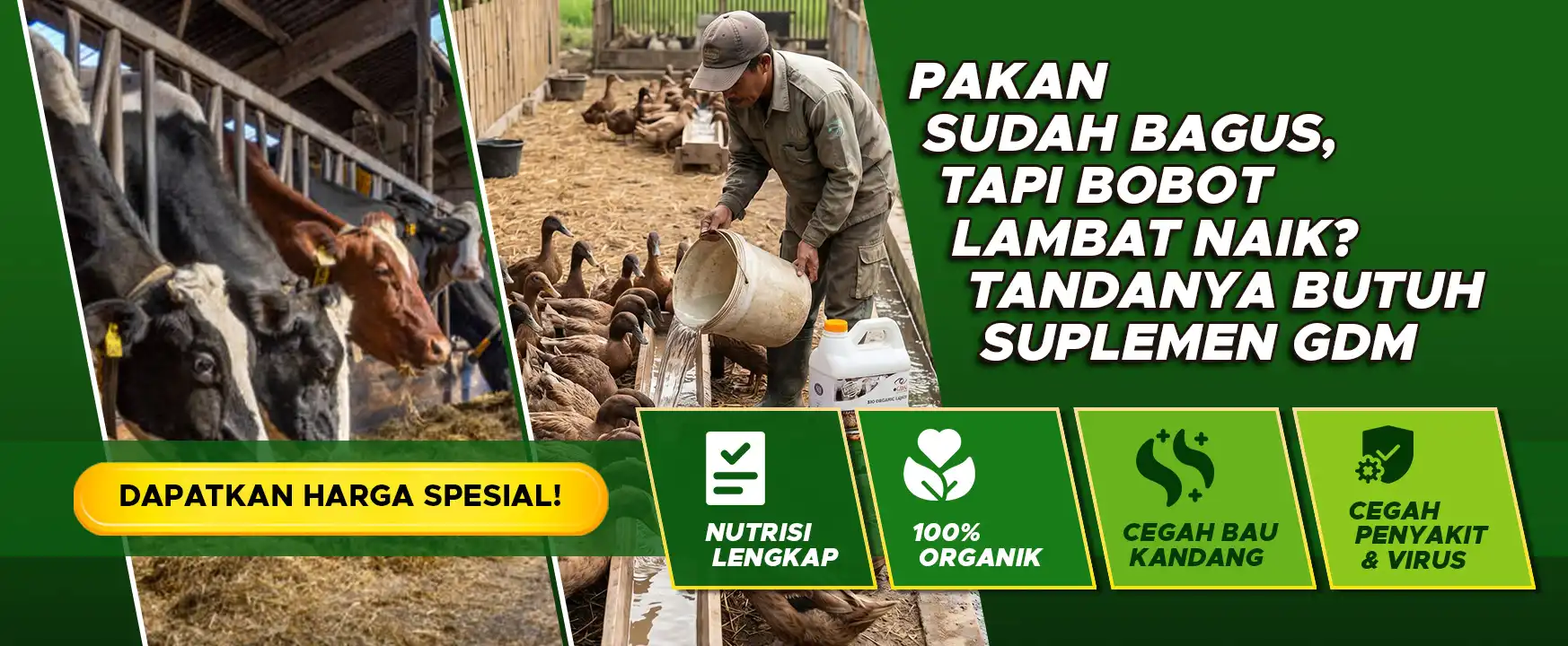 Banner Artikel CTA Peternakan GDM Desktop 1