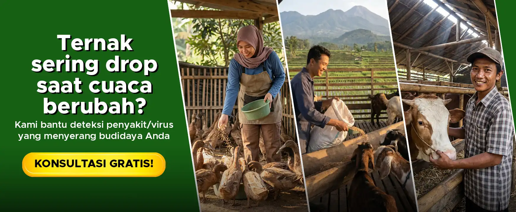 Banner Artikel CTA Peternakan GDM Desktop 2