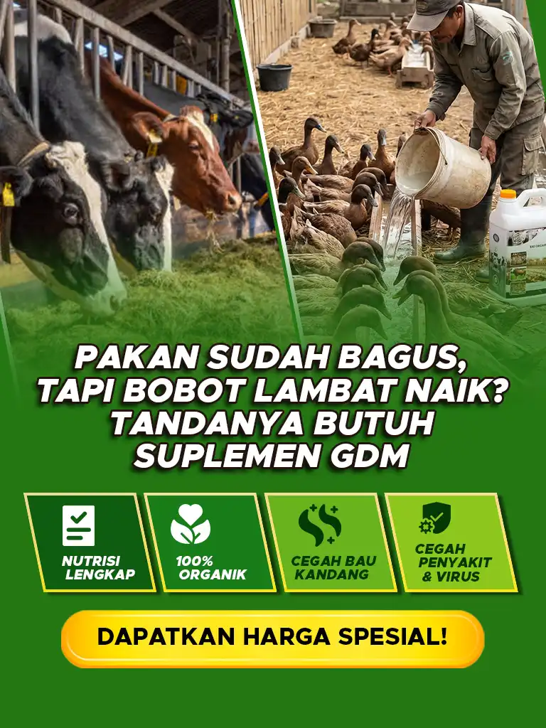 Banner Artikel CTA Peternakan GDM Mobile 1