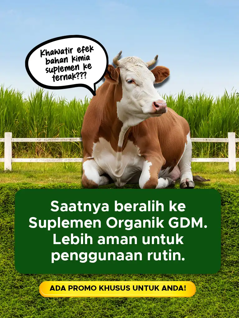 Banner Artikel CTA Peternakan GDM Mobile 3