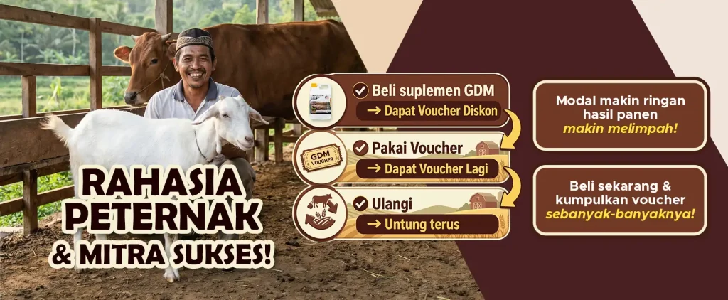 Banner Promo Suplemen Organik Cair Spesialis Peternakan GDM