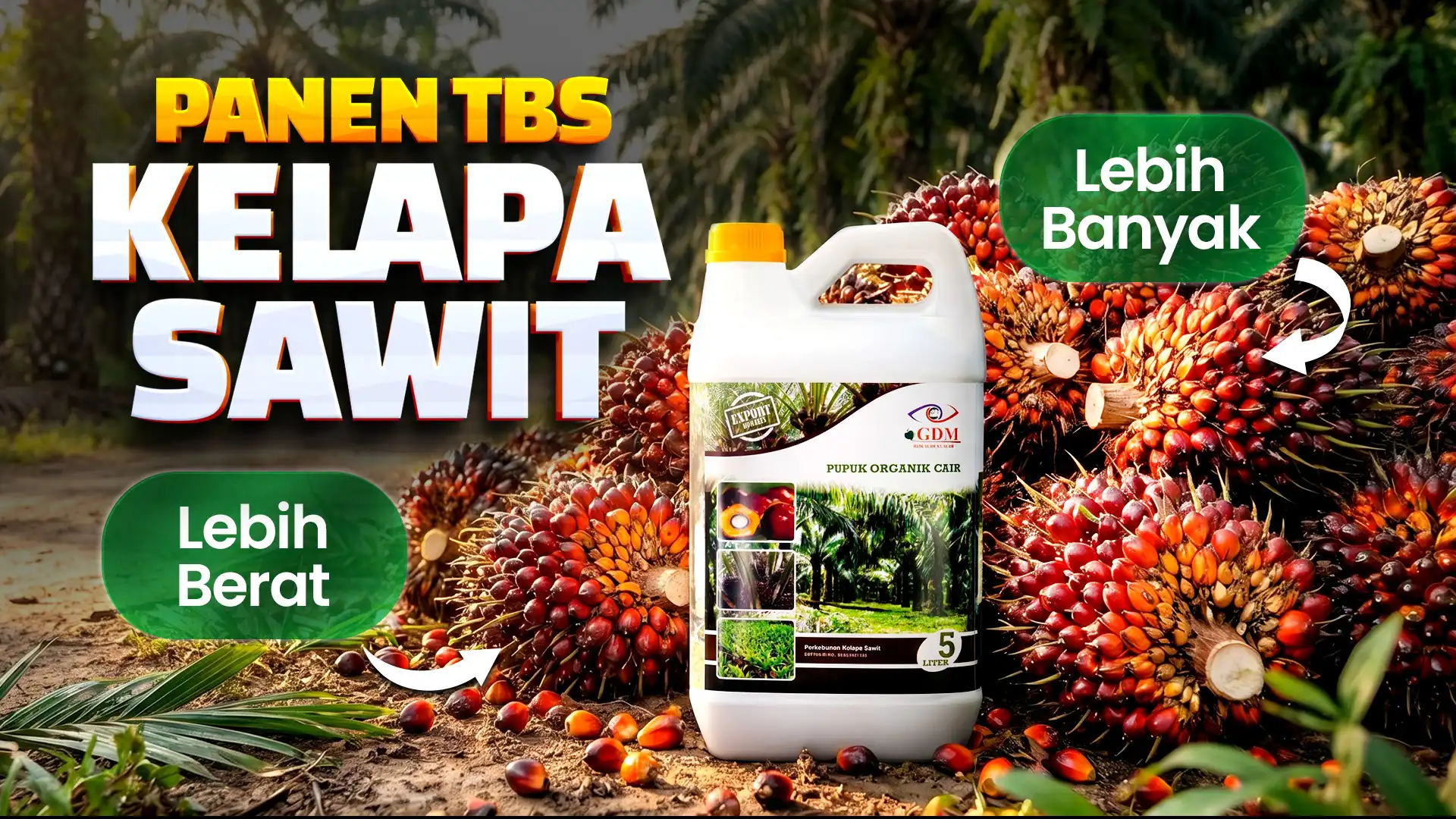 Banner Desktop Pupuk Organik Cair GDM Spesialis Kelapa Sawit - Panen Lebih Banyak & Bobot Lebih Berat