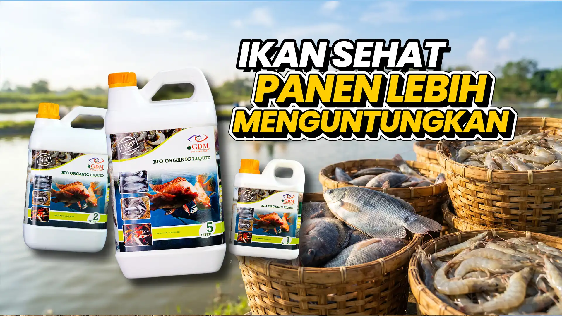 Banner Desktop Suplemen Organik Cair GDM Spesialis Perikanan - Ikan Lebih Sehat Panen Lebih Menguntungkan