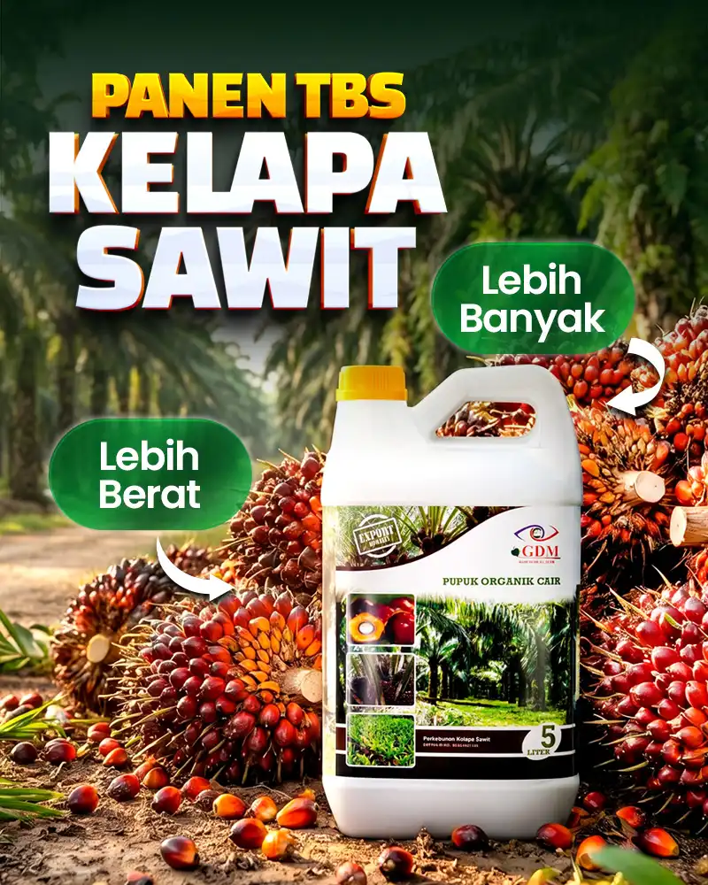 Banner Mobile Pupuk Organik Cair GDM Spesialis Kelapa Sawit - Panen Lebih Banyak & Bobot Lebih Berat