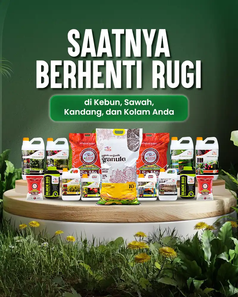 Banner Mobile Pupuk dan Suplemen Organik Cair GDM - Saatnya Berhenti Rugi di Sektor Agribisnis