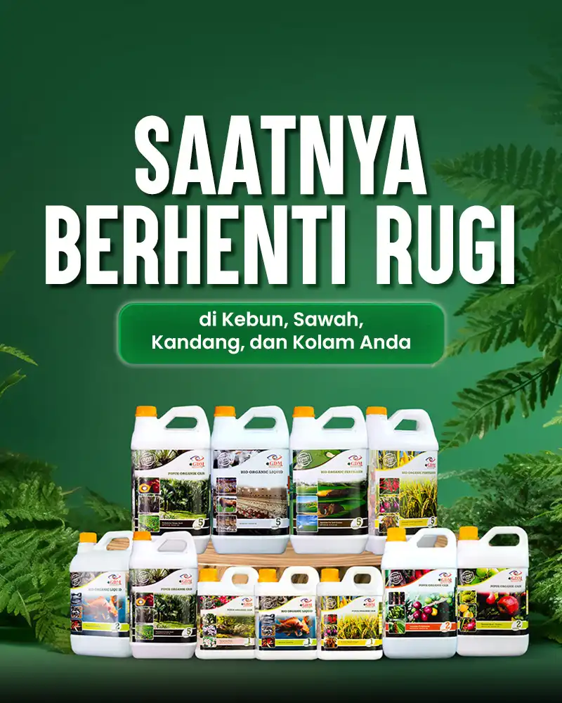 Banner Mobile Pupuk dan Suplemen Organik Cair GDM - Saatnya Berhenti Rugi di Sektor Agribisnis