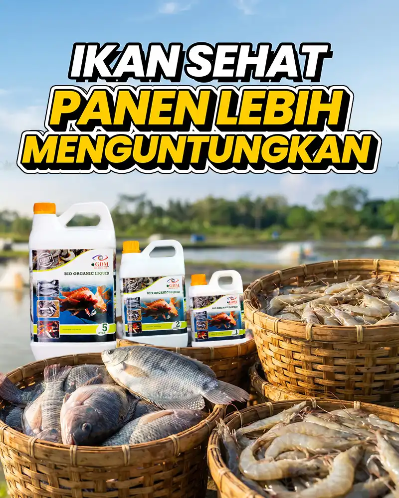 Banner Mobile Suplemen Organik Cair GDM Spesialis Perikanan - Ikan Lebih Sehat Panen Lebih Menguntungkan