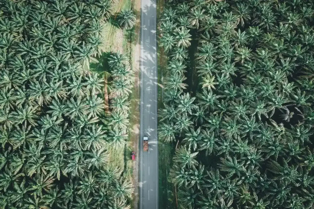 2 hektar sawit menghasilkan berapa ton