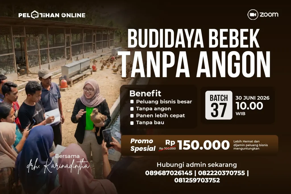 Banner Desktop Pelatihan Bebek Batch 37