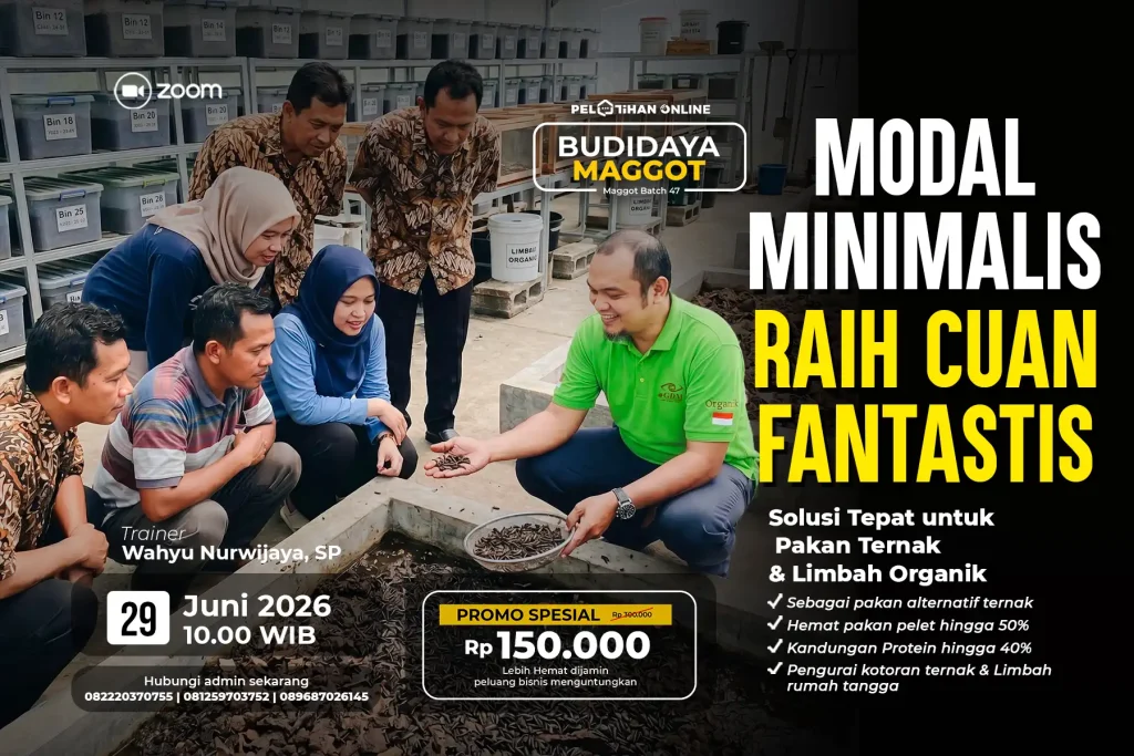 Banner Desktop Pelatihan Magot Batch 47