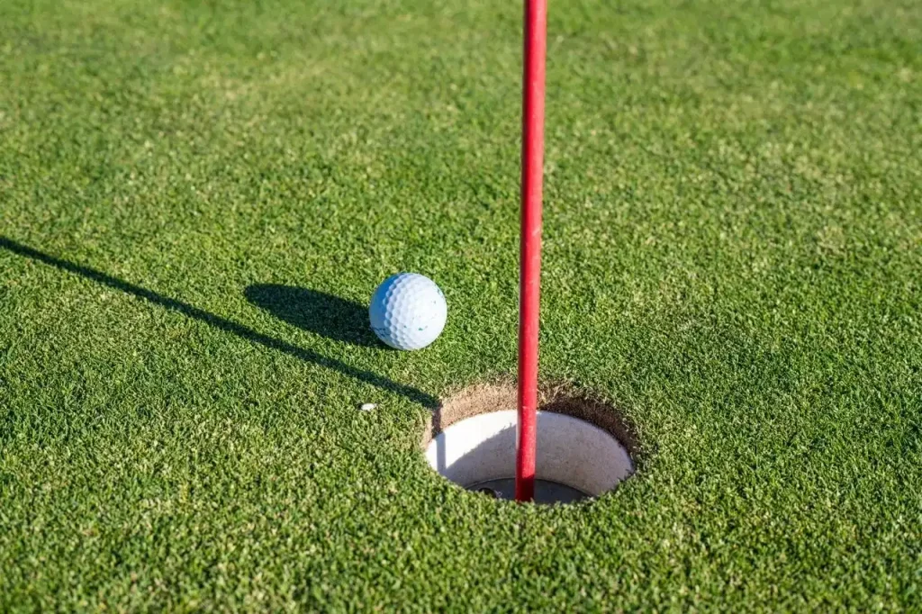 Harga Rumput Golf per Meter Tahun 2026, Berapa Biaya yang Perlu Disiapkan?
