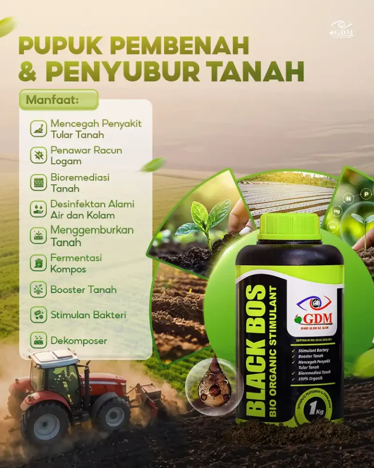 Pupuk Black BOS GDM