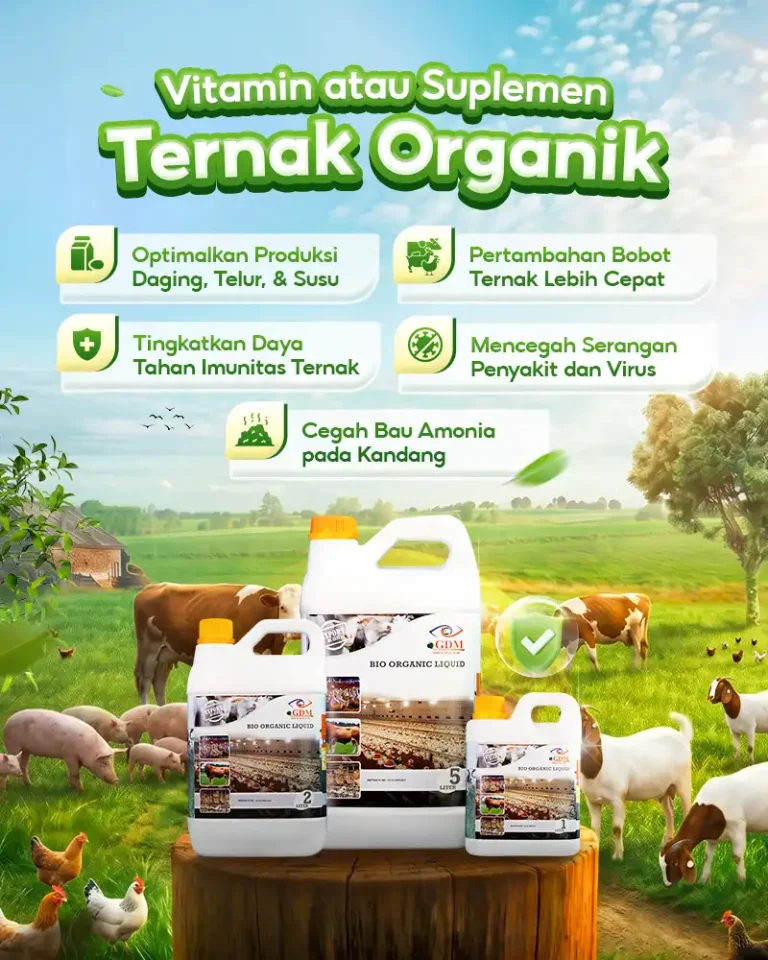 Suplemen Ternak GDM