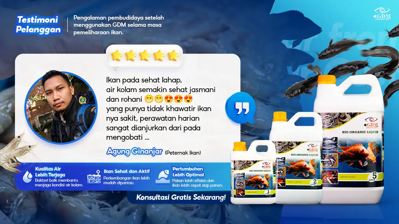 GDM Banner - Testimoni - Suplemen Organik Cair Spesialis Perikanan