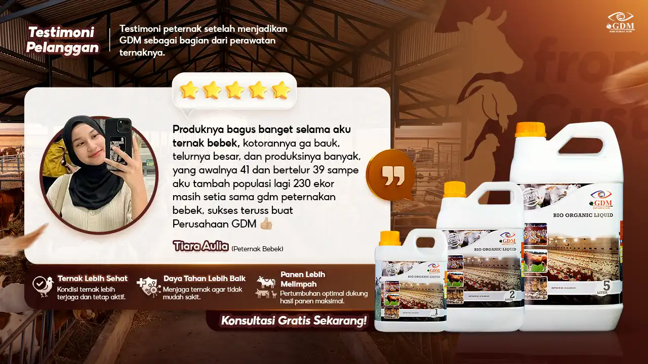 GDM Banner - Testimoni - Suplemen Organik Cair Spesialis Peternakan
