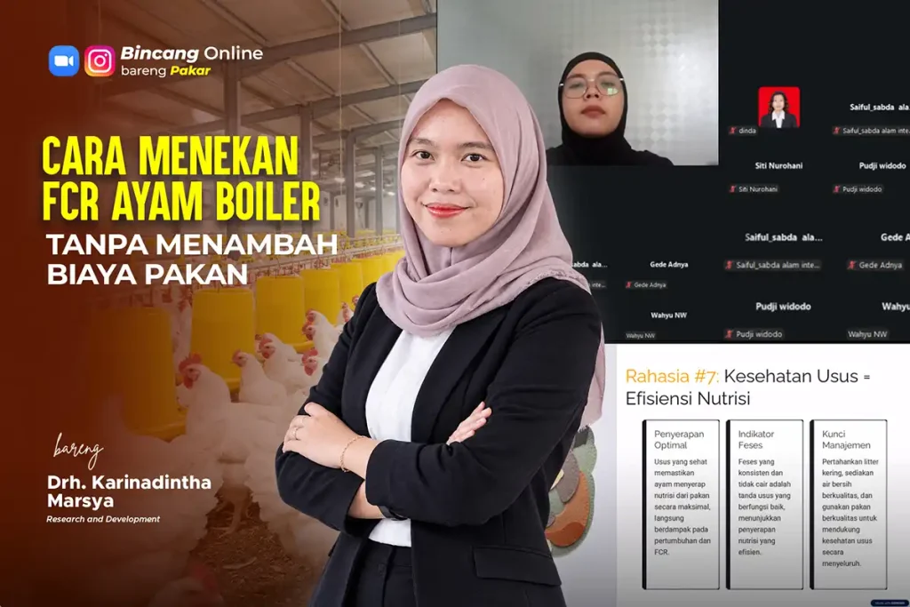 Bincang Online Bahas Cara Tekan FCR Ayam Broiler Tanpa Menambah Biaya Pakan