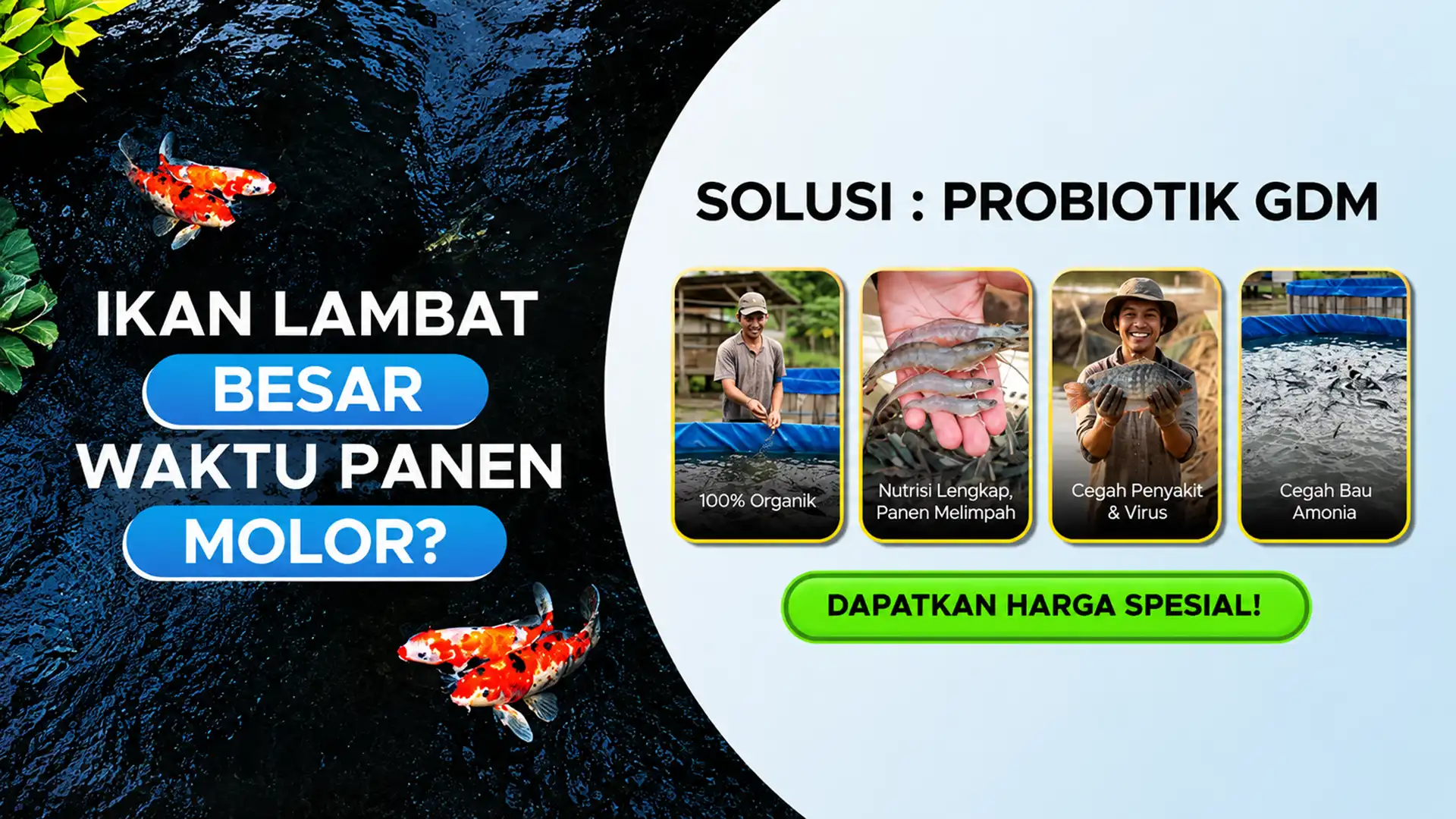Hagra Spesial Suplemen Organik Cair GDM Spesialis Perikanan
