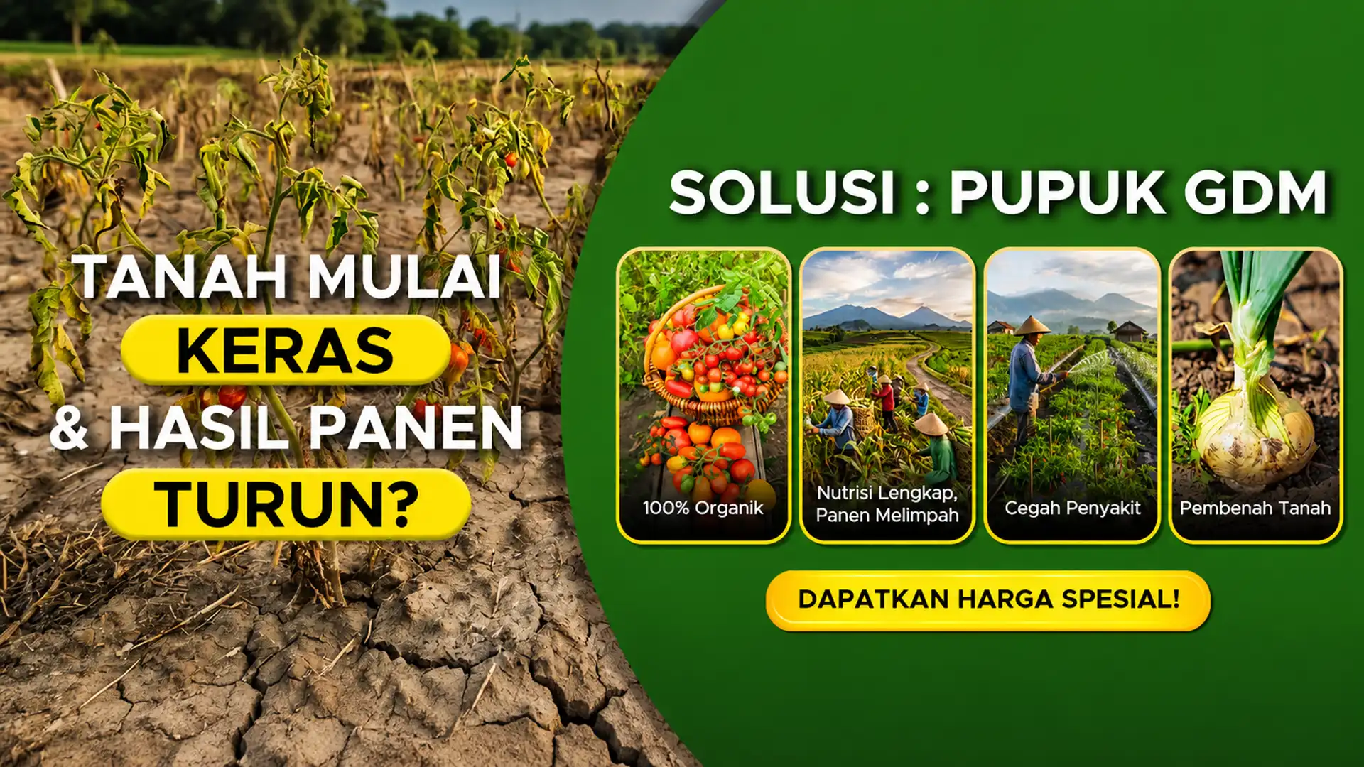 Harga Spesial pupuk organik cair GDM