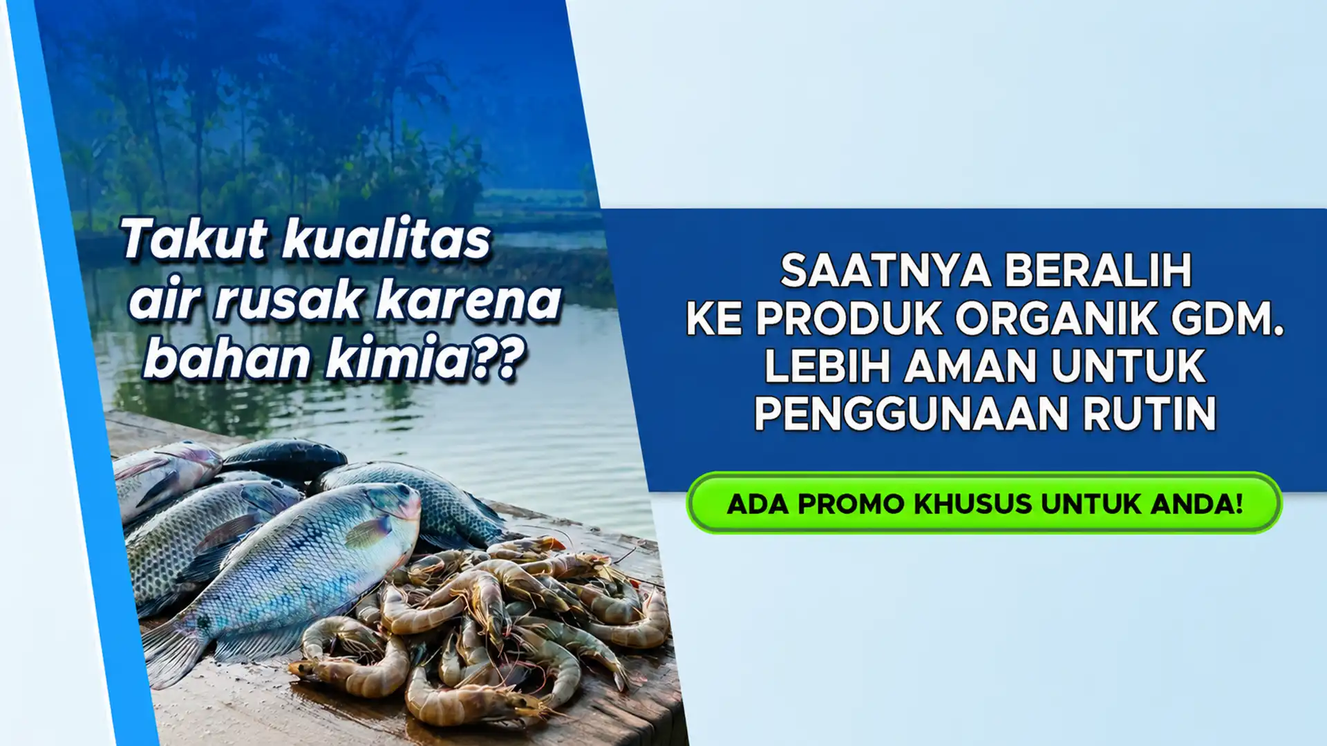 Promo khusus SOC perikanan GDM