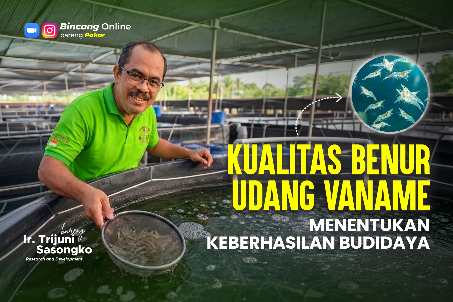bincang online benur udang vaname