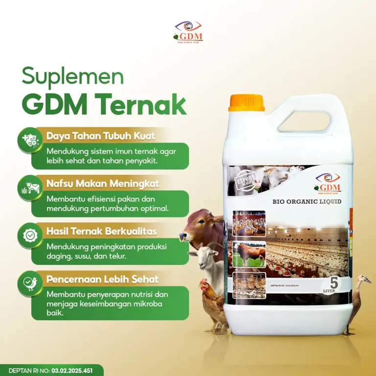 1 Manfaat Suplemen Organik Cair GDM Spesialis Peternakan