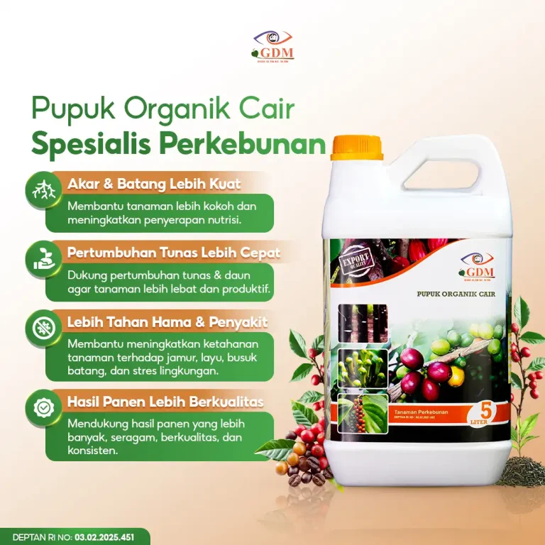 1 Peran Pupuk organik cair GDM spesialis perkebunan dalam membantu pertumbuhan tanaman