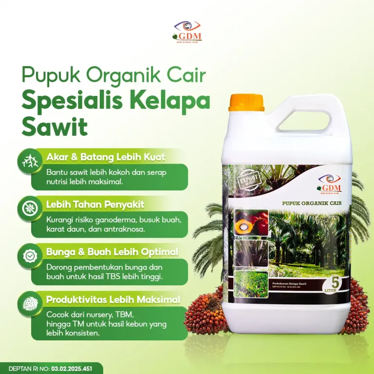 1 Pupuk Organik Cair GDM Spesialis kelapa sawit memiliki banyak manfaat untuk tanaman