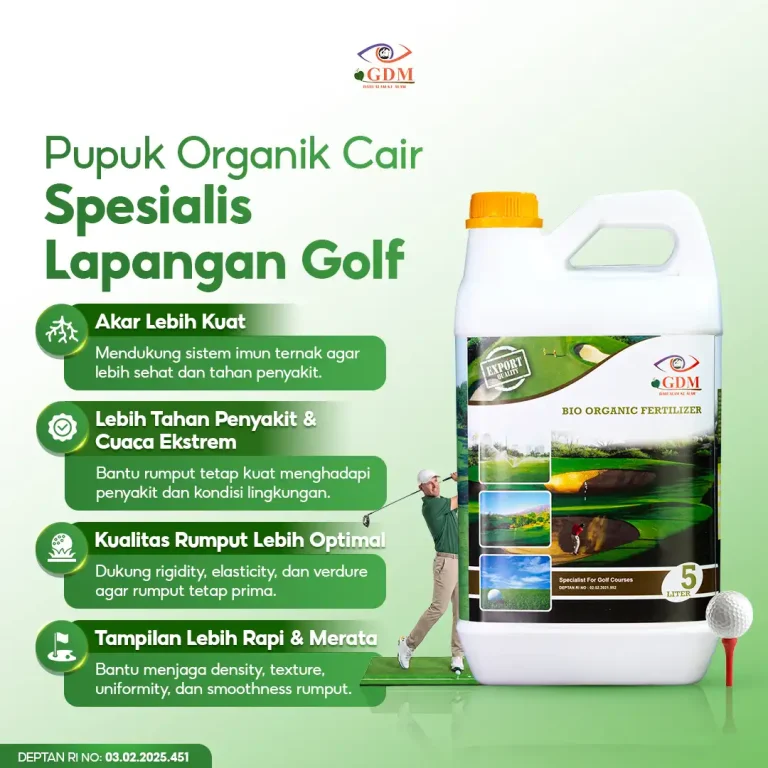 1 Pupuk Organik Cair GDM spesialis lapangan golf memberikan banyak manfaat