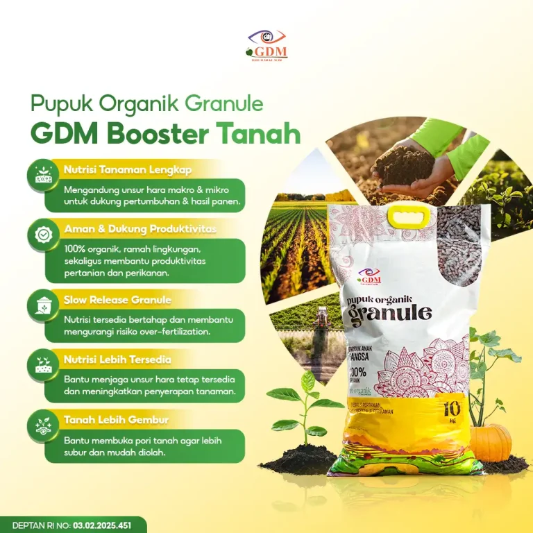 1 Pupuk Organik Granule GDM POG memiliki banyak manfaat untuk lahan budidaya
