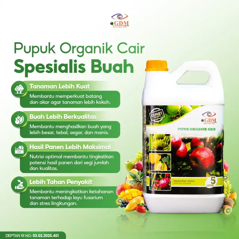 1 Pupuk Organik cair GDM spesialis buah buahan memberikan banyak manfaat bagi tanaman buah