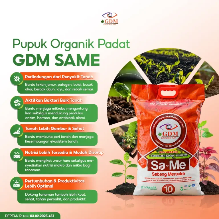 1 Pupuk bio organik Padat GDM SaMe memiliki banyak keunggulan untuk lahan budidaya
