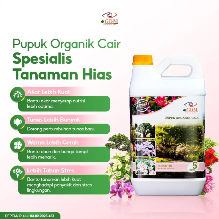 1 Pupuk organik cair GDM spesialis tanaman hias memiliki banyak manfaat