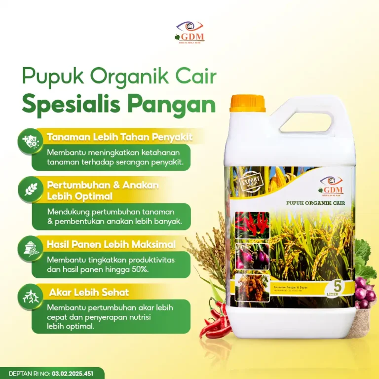 1 Pupuk organik cair GDM spesialis tanaman pangan memiliki banyak manfaat utama untuk pertumbuhan