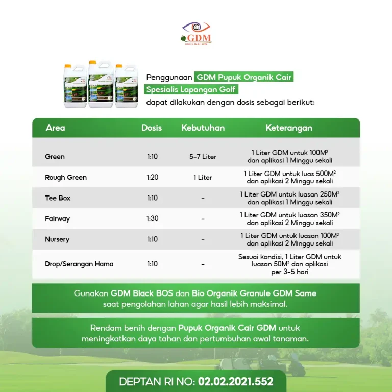 2 Cara penggunaan pupuk organik cair GDM spesialis lapangan golf