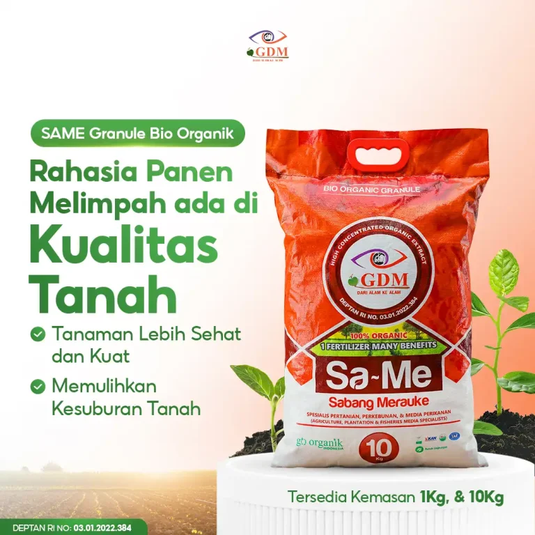 3 Pupuk bio organik padat GDM SaMe membantu memperbaiki dan meningkatkan kualitas tanah