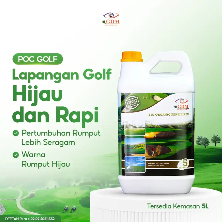 3 Pupuk organik cair GDM spesialis lapangan golf membuat lapangan makin hijau dan rapi