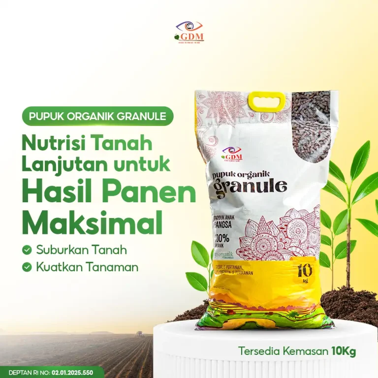 3 Pupuk organik granule GDM POG memberikan nutrisi tanah lanjutan agar hasil panen maksimal