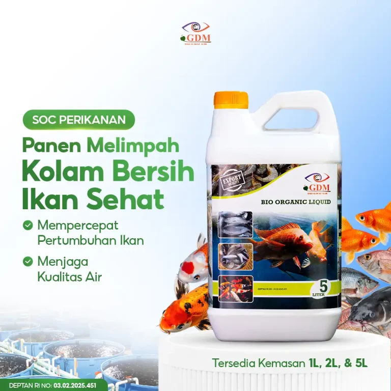 3 Suplemen organik cair GDM Spesialis perikanan membuat panen melimpah kolam bersih dan ikan sehat