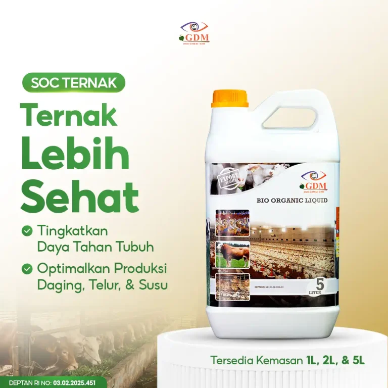 3 Ternak jadi lebih sehat dan anti penyakit bersama SOC GDM Spesialis peternakan
