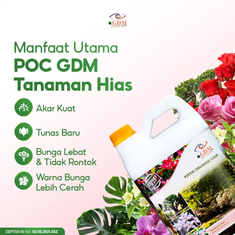 5 Beragam manfaat utama dari pupuk organik cair GDM Spesialis tanaman hias