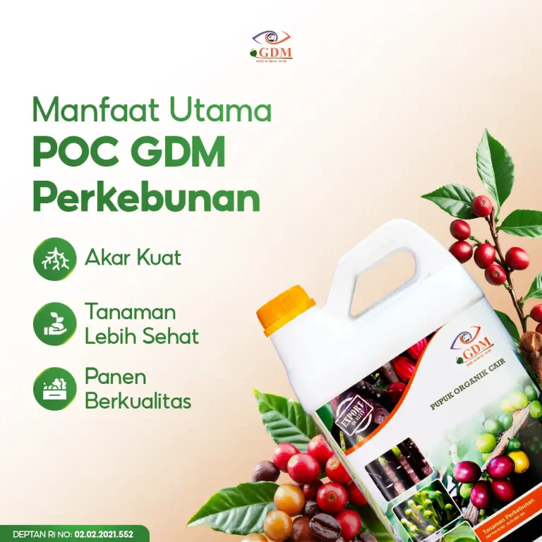 5 Berbagai manfaat penggunaan pupuk organik cair GDM spesialis perkebunan