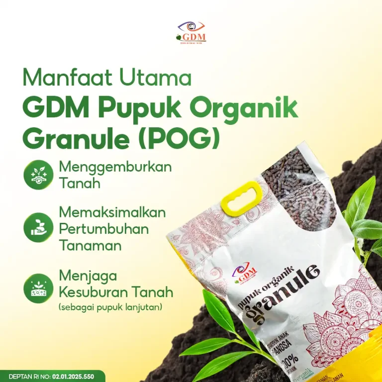 5 Berbagai manfaat utama penggunaan pupuk organik granule GDM POG