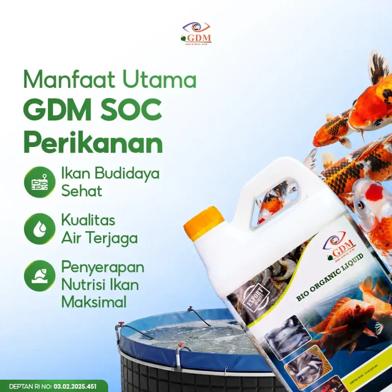 5 Manfaat-manfaat utama untuk suplemen organik cair spesialis perikanan