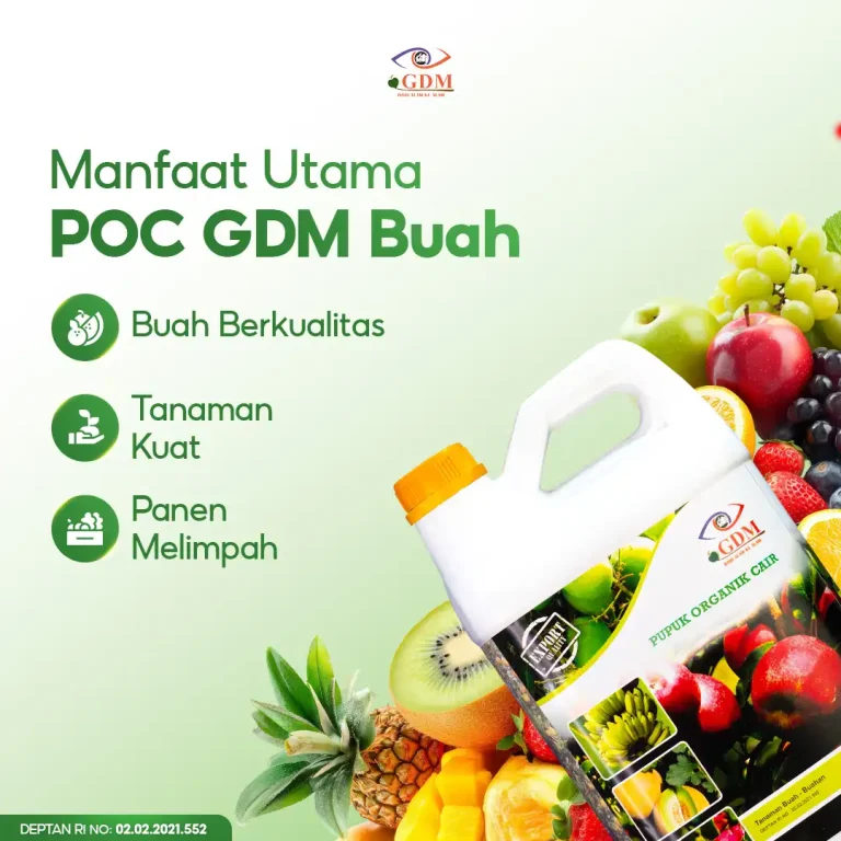 5 Manfaat utama menggunakan pupuk organik cair GDM spesialis buah buahan
