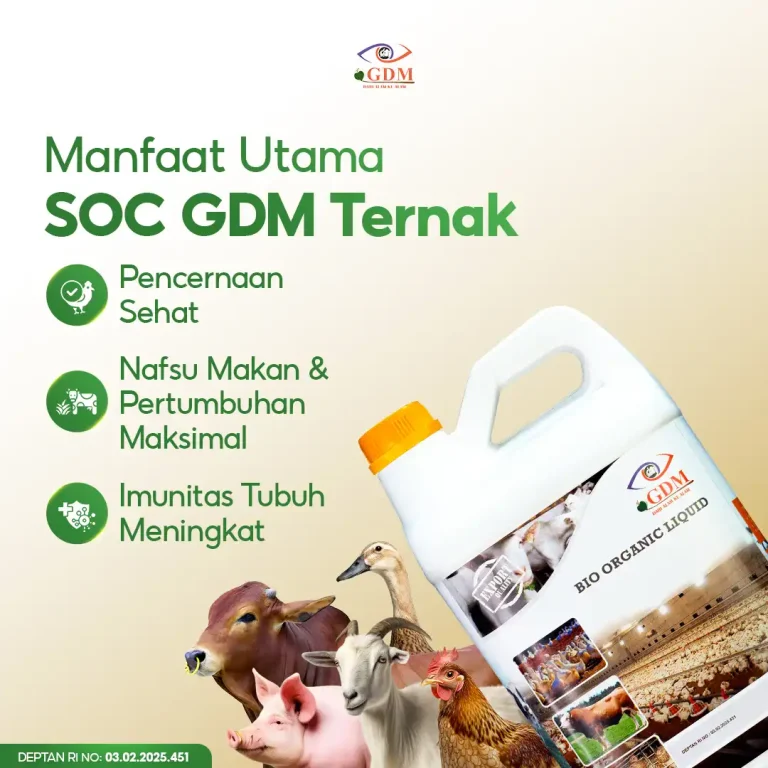 5 SOC GDM Spesialis Peternakan Memiliki Banyak Manfaat Utama