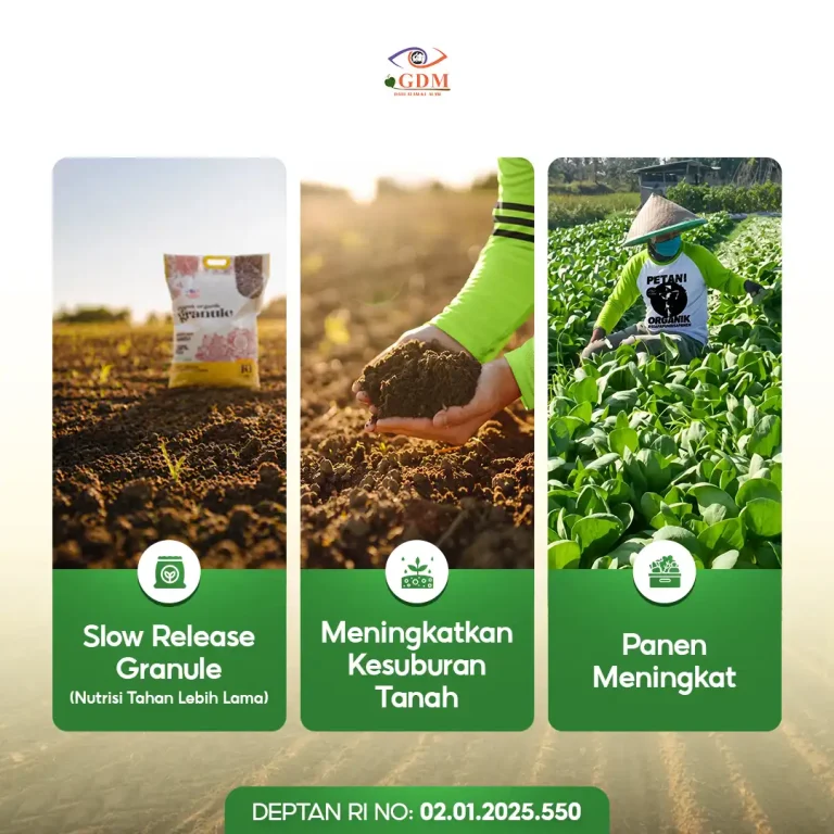 6 Berbagai keuntungan yang Diberikan oleh Pupuk Organik Granule GDM POG
