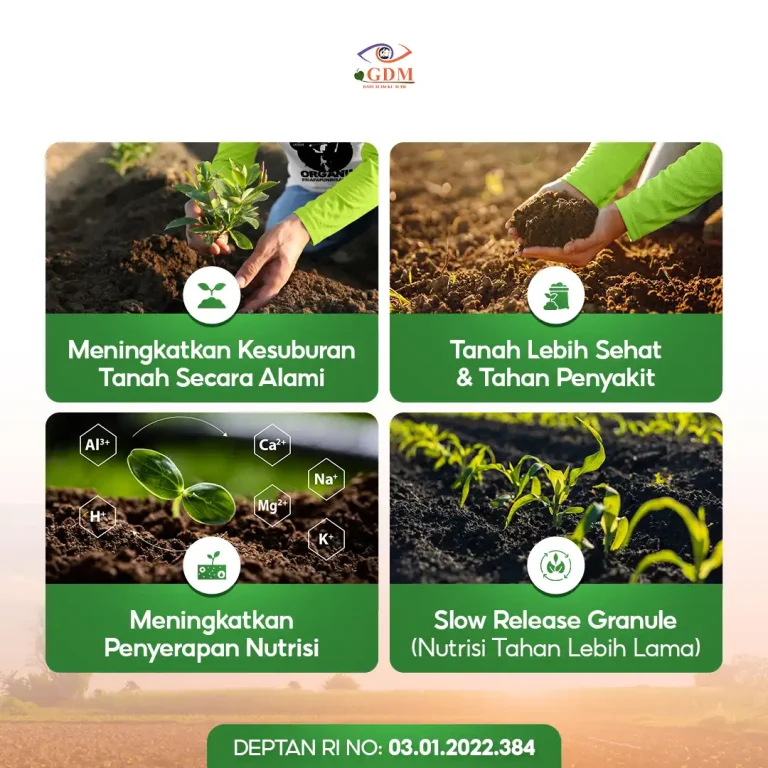 6 Keunggulan yang Anda dapatkan dari pupuk bio organik padat GDM SaMe