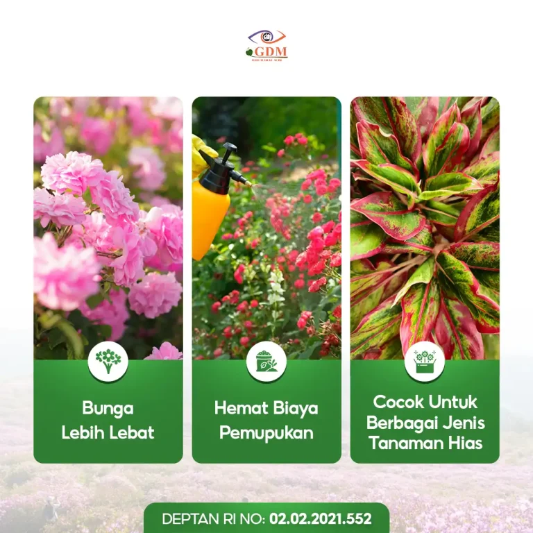 6 Keuntungan yang bisa Anda dapatkan dengan penggunaan pupuk organik cair GDM spesialis tanaman hias
