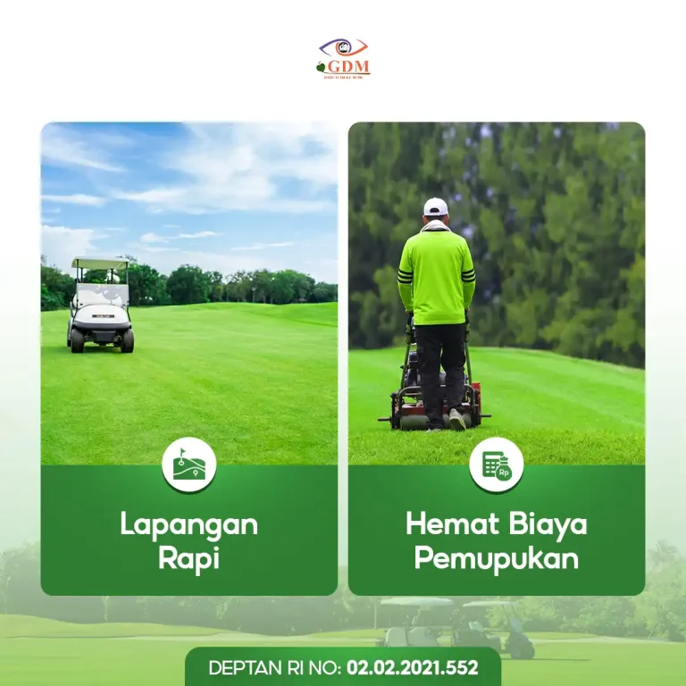 6 Keuntungan yang bisa Anda peroleh dengan menggunakan pupuk organik cair spesialis lapangan golf