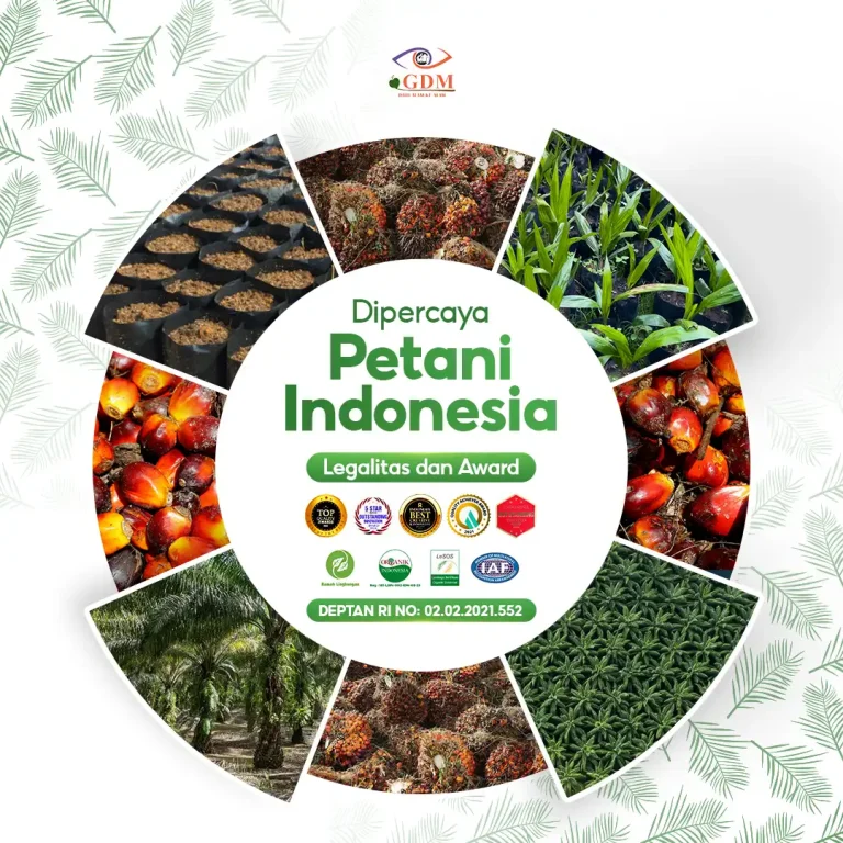 7 Banyak pekebun sudah percaya dengan pupuk organik cair GDM Spesialis kelapa sawit